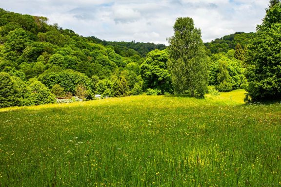 Wandern mit Sabine  2023